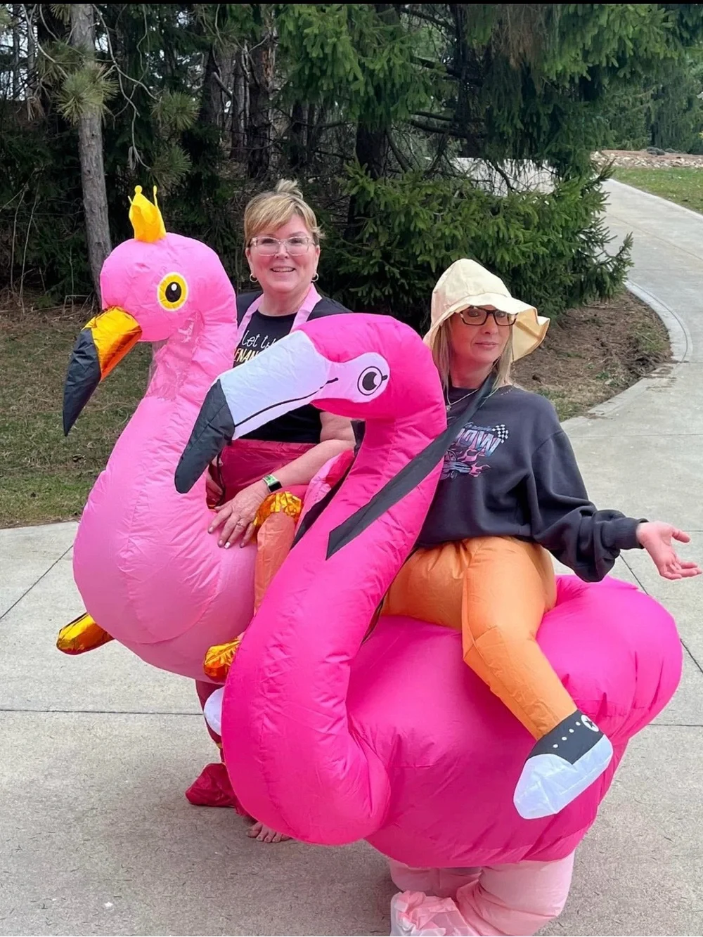 Adult Inflatable Pink Flamingo Costumes